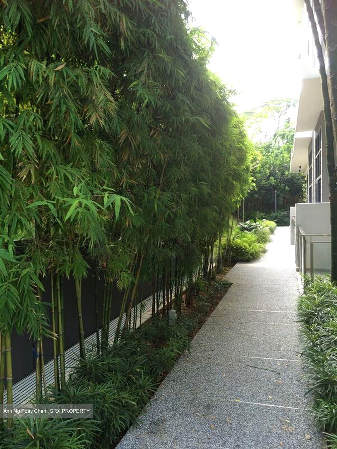 The Foresta @ Mount Faber (D4), Condominium #533258231